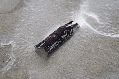 Strand St. Peter Ording